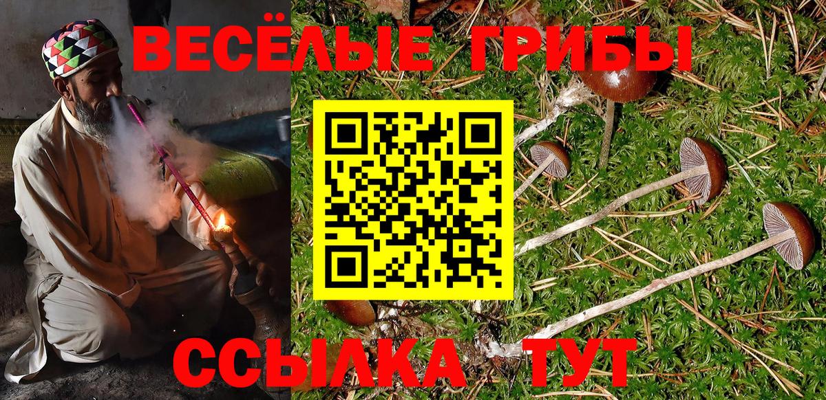 Галлюциногенные грибы Psilocybine cubensis  Вход с VPN  Дубна  Псилоцибиновые грибы MAGIC MUSHROOMS 